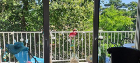 Appartement Arcachon